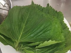 拌苏子叶-松明一烤肉馆(鲁园店)