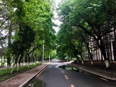 -吉林大学(南岭校区)