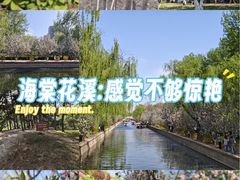 -元大都城垣遗址公园