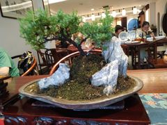 -苏面斋·本地传统苏式面馆