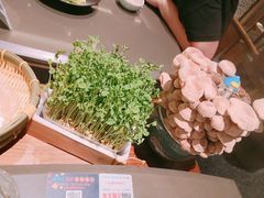 -捞王锅物料理(上海世茂广场店)