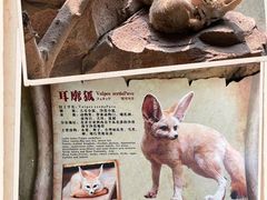 -长鹿旅游休博园