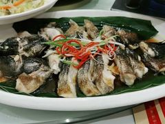 清蒸石基鱼-小溪桥三号院子(华庄店)