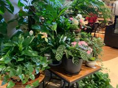 -舌尖上的食缘花园主题餐厅
