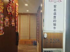 -猫十亿·布偶金渐层·曼基康矮脚猫舍(青年路店)
