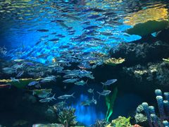 -华夏文旅西安度假区