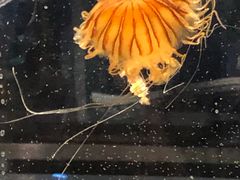 -沈阳海洋探索中心