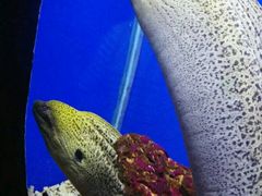 -石家庄极地海洋世界
