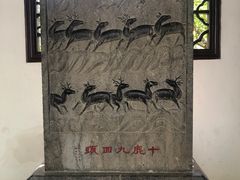 -上海醉白池公园