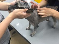 -爱侣宠医·鹦鹉专科·小型哺乳类·异宠专科(灵石路店)