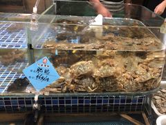 -天盛海鲜烧烤大排档·本地小海鲜·牟平腿穗子(幸福店)