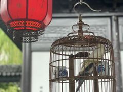 -金海华·华宴江南(斜塘店)
