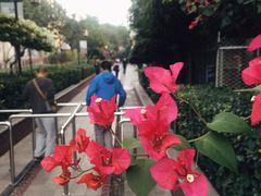 -铁路文化公园