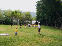 -银湖山郊野公园-相思林