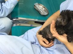 -康乐宝动物医院