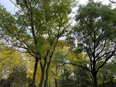 -元大都城垣遗址公园