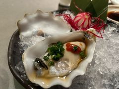 -Hatsune隐泉日式料理(三里屯太古里店)