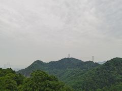 -南山植物园