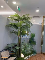 -八佰伴8008星级形象店