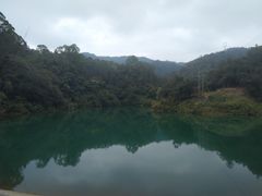 -佛山市三水区大南山森林公园