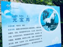 -深圳野生动物园