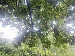 -苏州河梦清园环保主题公园