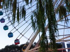 游乐设施-沈阳南湖公园