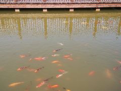 -北京政法职业学院(大兴校区)