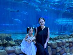 -华夏文旅西安度假区