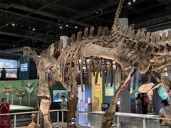 -国家自然博物馆