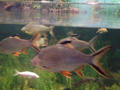 iphone_upload_pic-郑州海洋馆