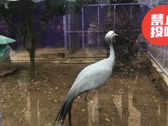 -无锡动物园·太湖欢乐园