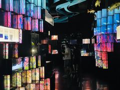 -同济大学四平路校区深海探索馆