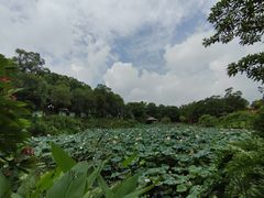 -广州莲花山旅游区