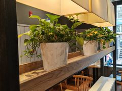 -肯德基(鲁迅路店)