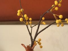 -京华烟云·北京烤鸭(领展购物广场·中关村店)