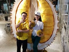 -都念榴莲·城市榴莲