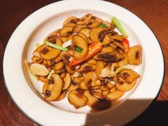 小炒口蘑-成都娃娃花园餐厅 (南艺旗舰店)