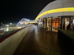 -野狸岛