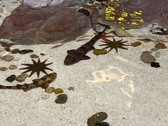 -福州罗源湾海洋世界旅游区