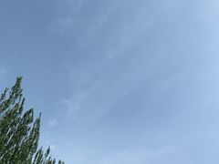 -天涯山