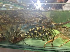 -班赞海鲜市场