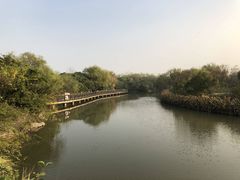 -上海长江河口科技馆