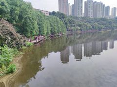 -重庆彩云湖湿地公园