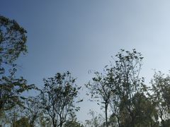 -火炉山森林公园