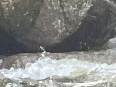 -雅鲁激流探险漂流