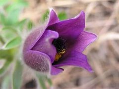 -哈尔滨文化公园