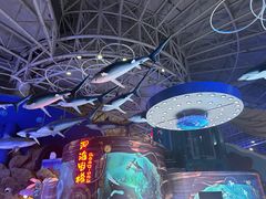-烟台海昌鲸鲨海洋公园