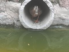 -团结湖公园