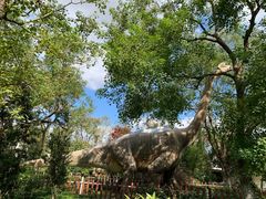 -上海海湾国家森林公园